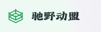合作伙伴